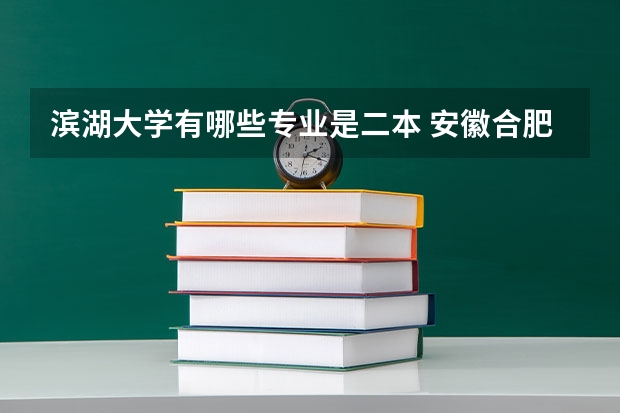 滨湖大学有哪些专业是二本 安徽合肥有哪些二本院校
