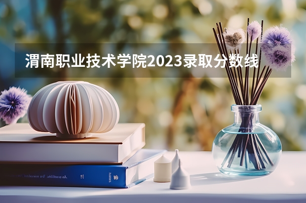 渭南职业技术学院2023录取分数线（渭南职业技术学院多少分能上）
