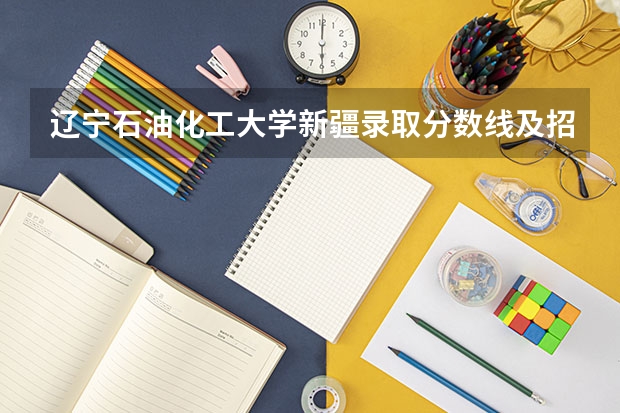 辽宁石油化工大学新疆录取分数线及招生人数