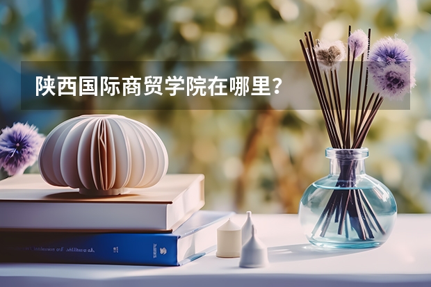 陕西国际商贸学院在哪里？
