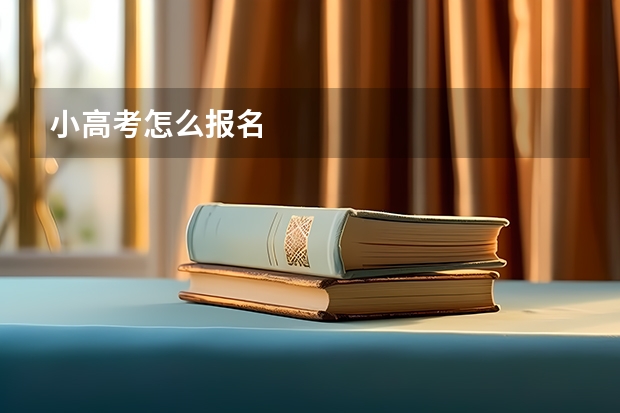 小高考怎么报名