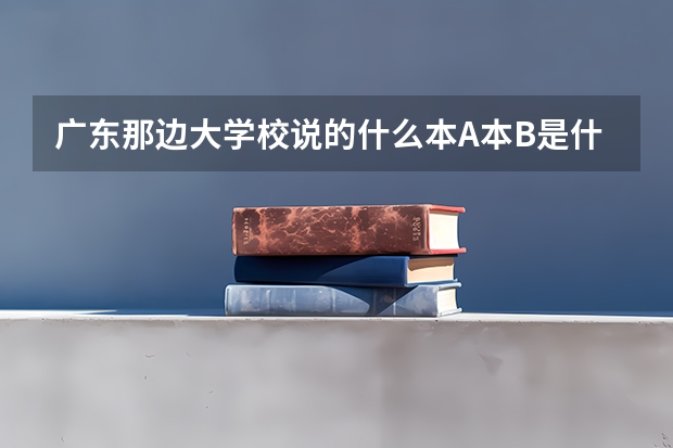 广东那边大学校说的什么本A本B是什么意思啊