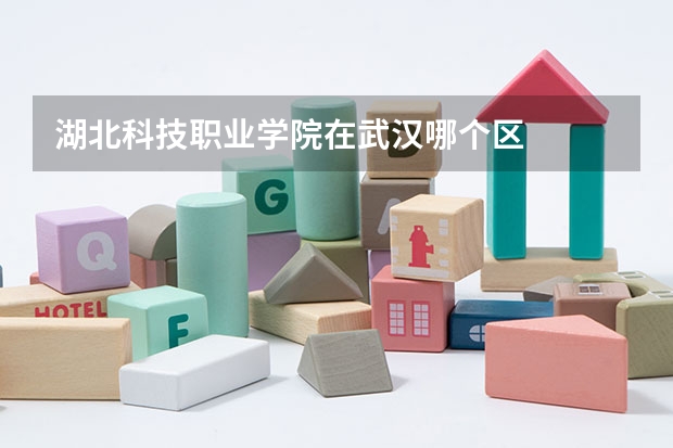湖北科技职业学院在武汉哪个区