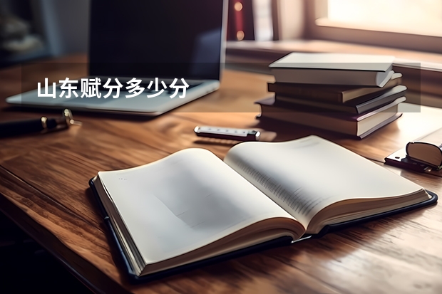 山东赋分多少分