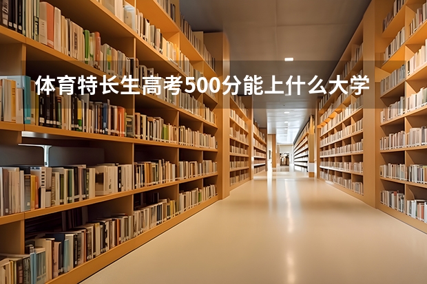 体育特长生高考500分能上什么大学？