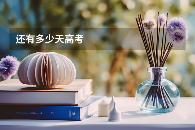还有多少天高考