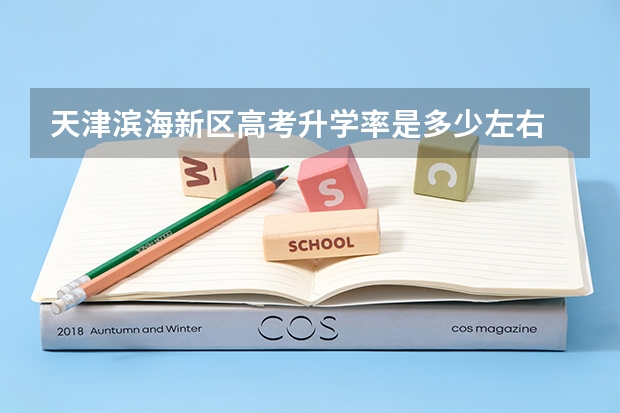 天津滨海新区高考升学率是多少左右