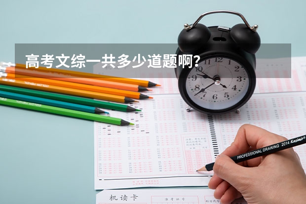 高考文综一共多少道题啊?