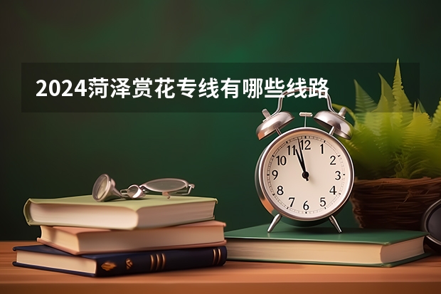2024菏泽赏花专线有哪些线路