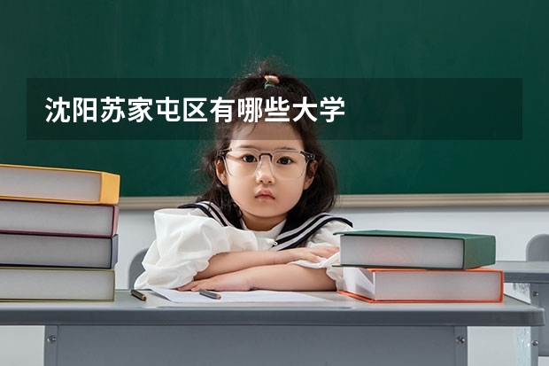 沈阳苏家屯区有哪些大学