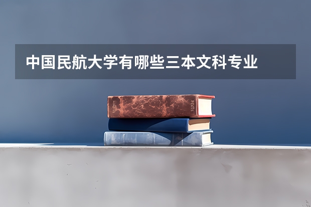 中国民航大学有哪些三本文科专业