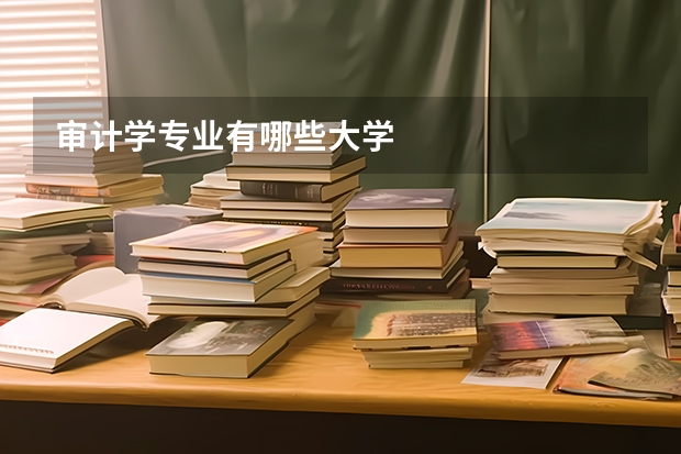 审计学专业有哪些大学