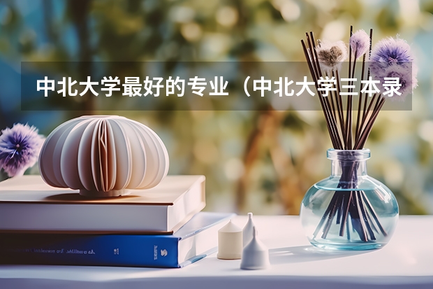 中北大学最好的专业（中北大学三本录取线）