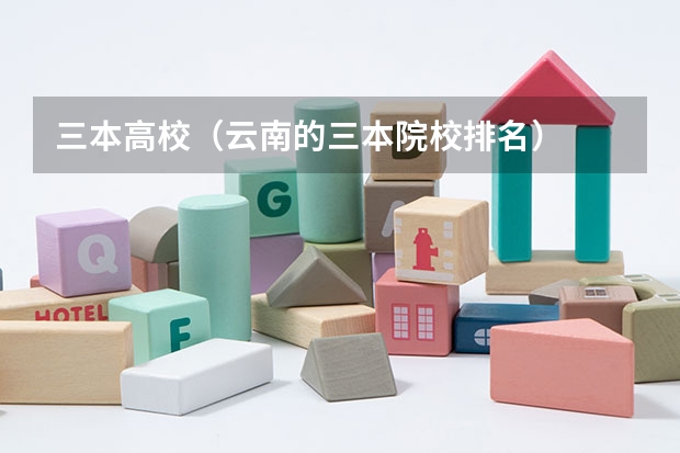 三本高校（云南的三本院校排名）