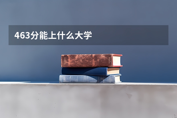 463分能上什么大学