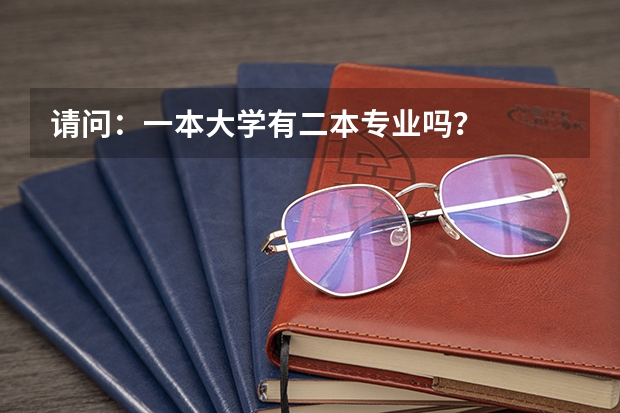 请问:一本大学有二本专业吗?