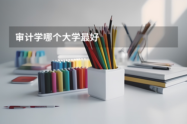审计学哪个大学最好