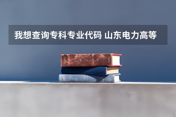 我想查询专科专业代码 山东电力高等专科学校招生代码