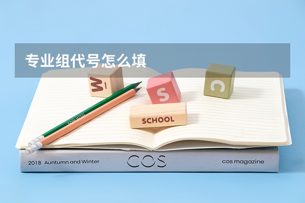 专业组代号怎么填